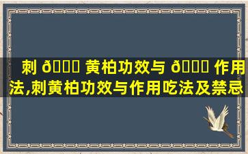 刺 🐎 黄柏功效与 🐈 作用吃法,刺黄柏功效与作用吃法及禁忌